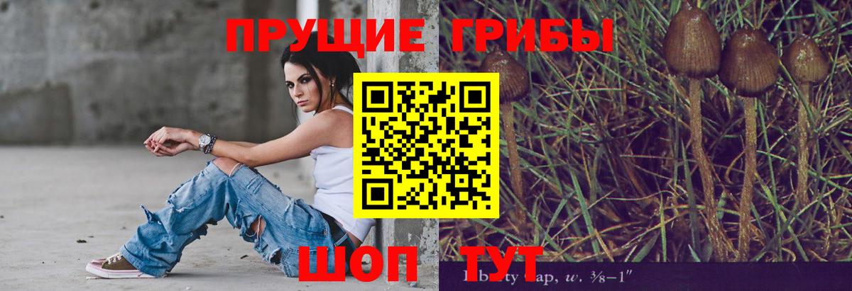 Галлюциногенные грибы GOLDEN TEACHER  Псилоцибиновые грибы мухоморы  Миасс  Вход с VPN 